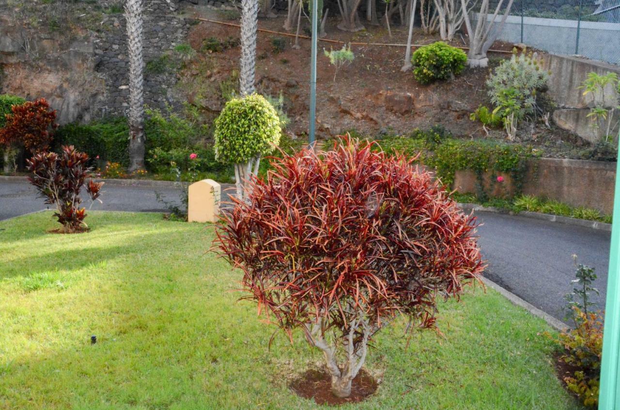 Vista Formosa Funchal Daire Dış mekan fotoğraf